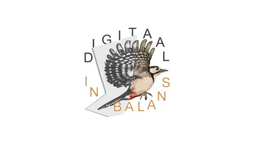 Digitaal in Balans